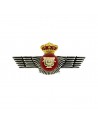 Distintivo Ejercito del Aire cartografia e imagen Rokiski