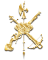 Pin Legionarios 2.2x1.4cm