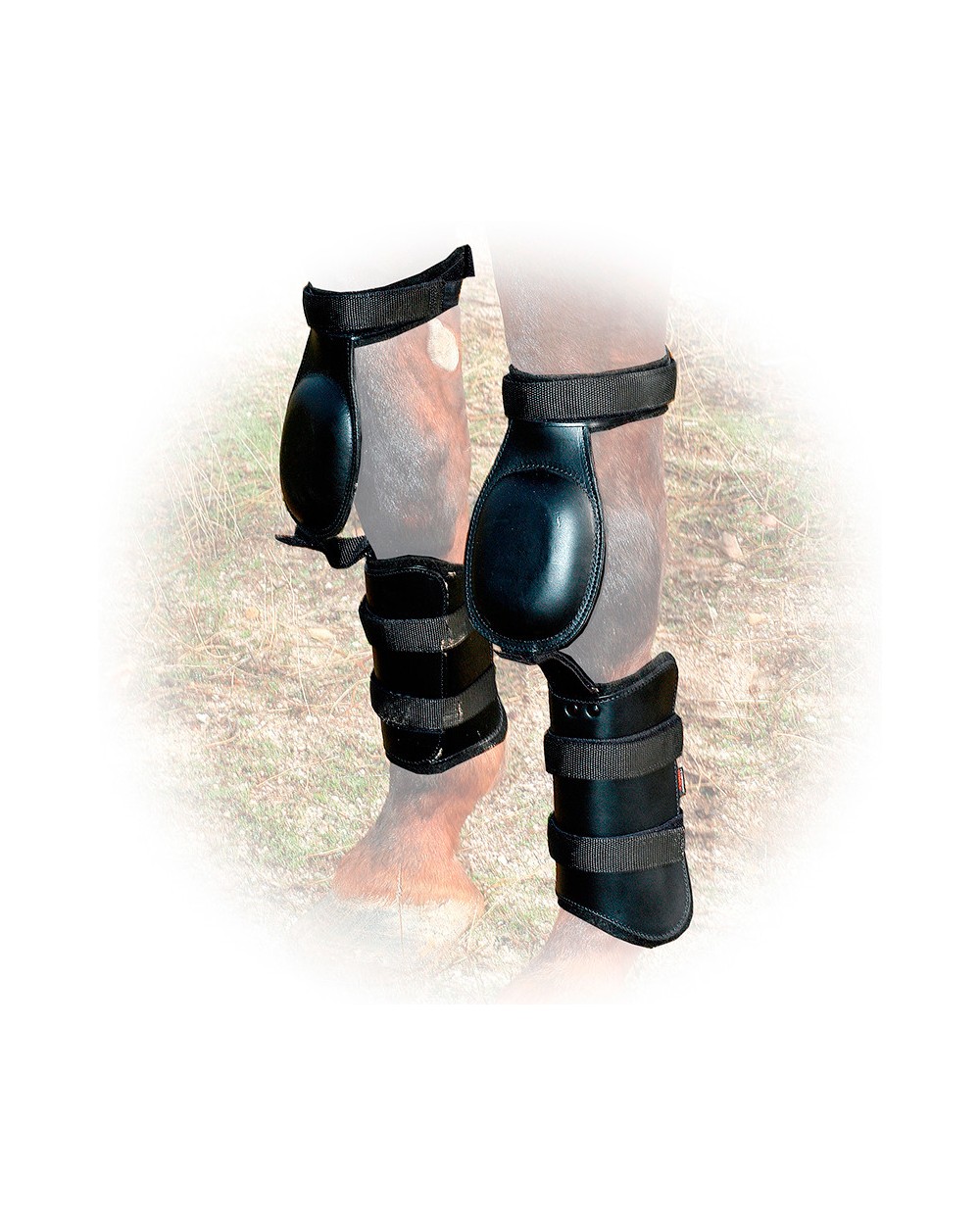 Protectores delanteros para caballos