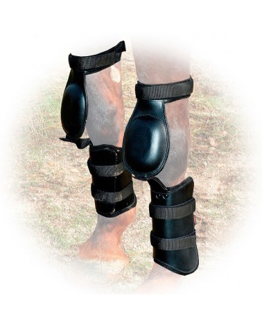 Protectores delanteros para caballos