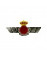 Distintivo Cuerpo General del Ejercito del Aire (rokiski)