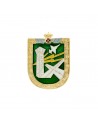 Distintivo Ejercito del Aire Controlador de Circulación