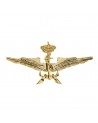 Distintivo Armada Española Curso Nadador de Rescate